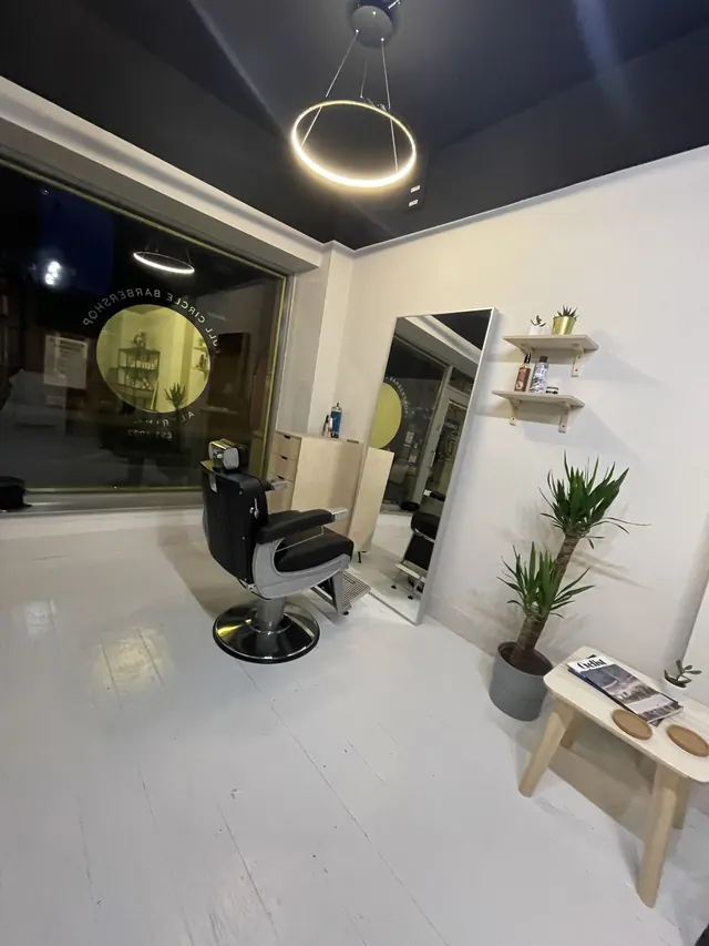 Inside Full Circle Barbers: the chair, mirror and plants by the window